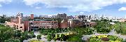 大学图片