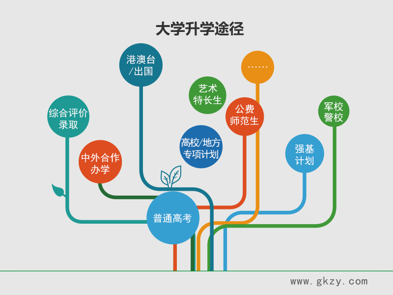 大学升学路径,志愿填报