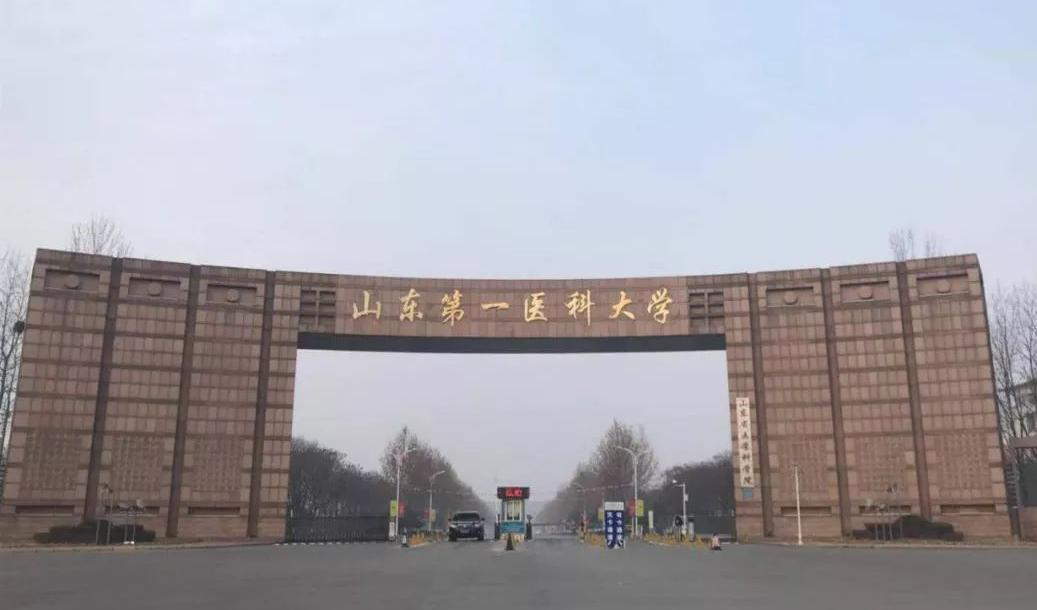 山东第一医科大学,志愿报考,优势专业,医学类专业