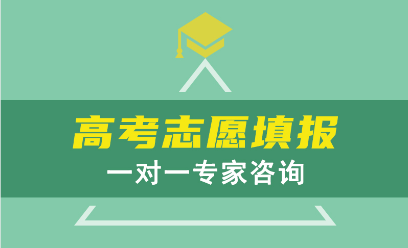志愿填报,一对一咨询,高考志愿