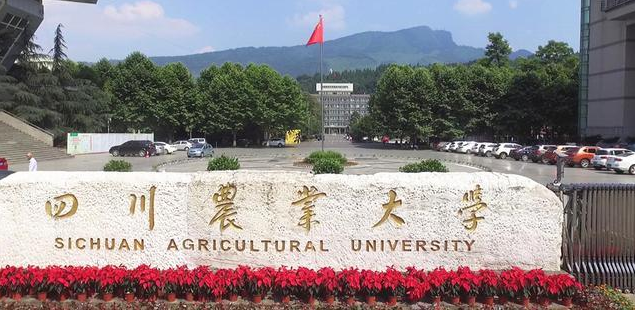 四川农业大学 高校专项计划